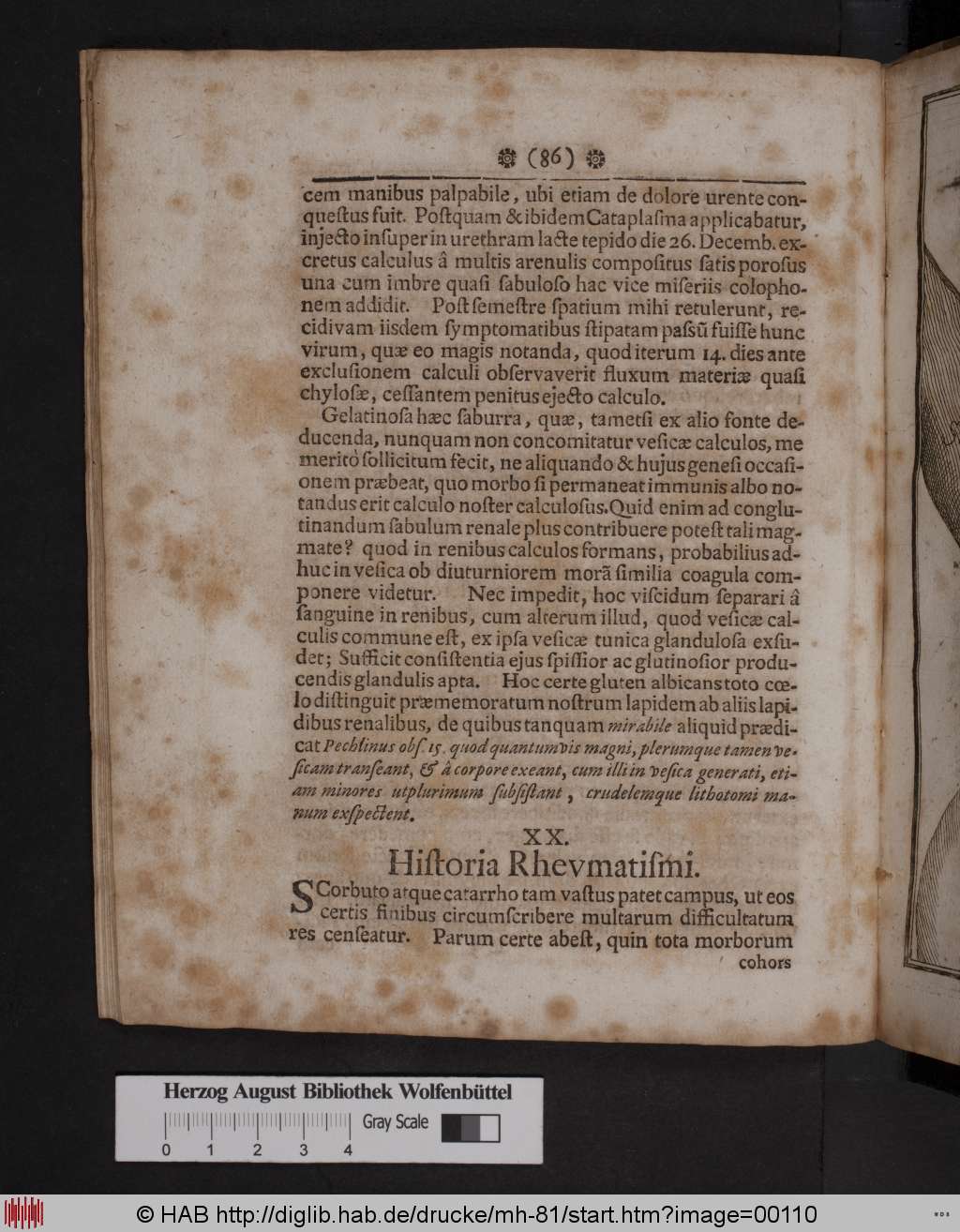 http://diglib.hab.de/drucke/mh-81/00110.jpg