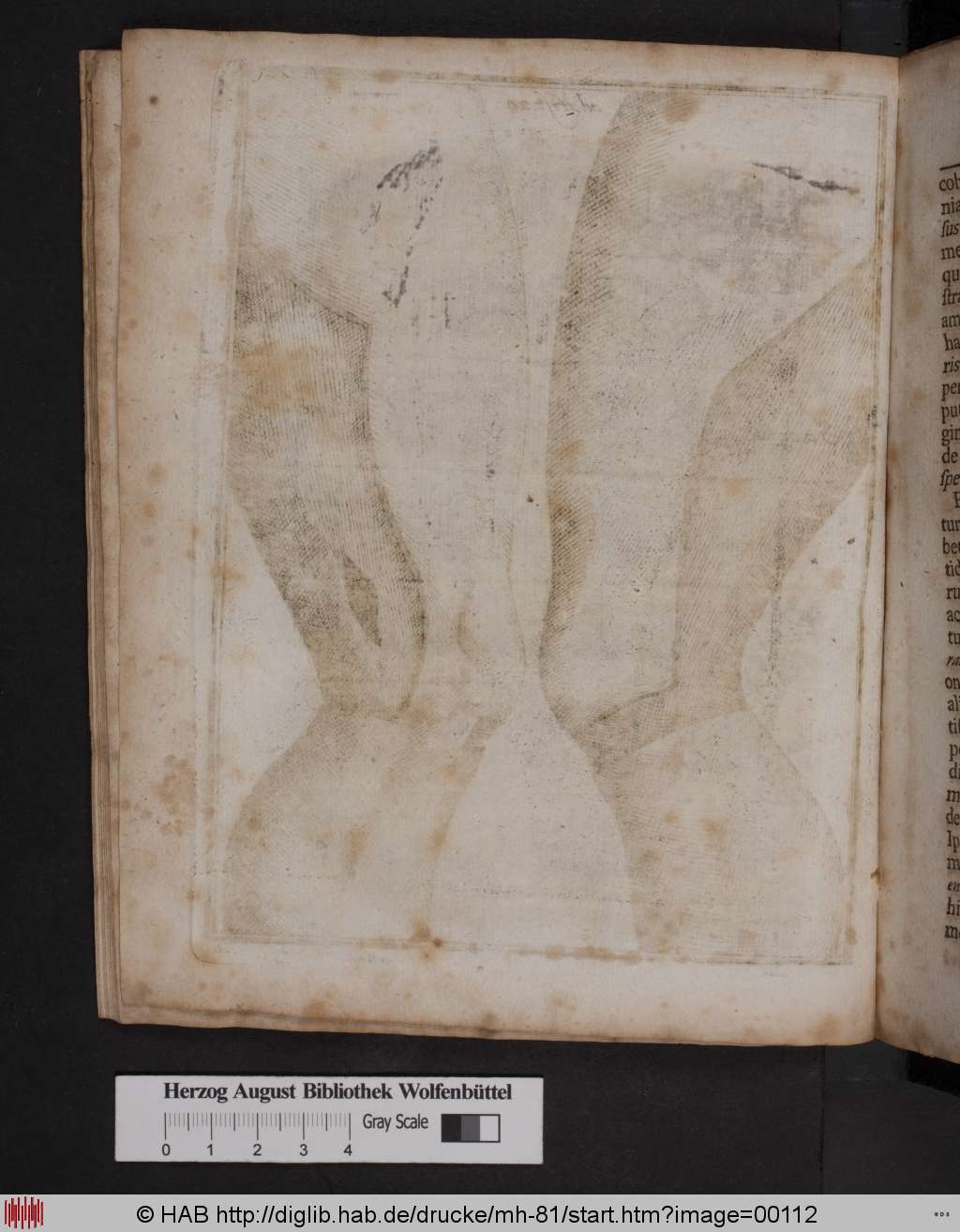 http://diglib.hab.de/drucke/mh-81/00112.jpg