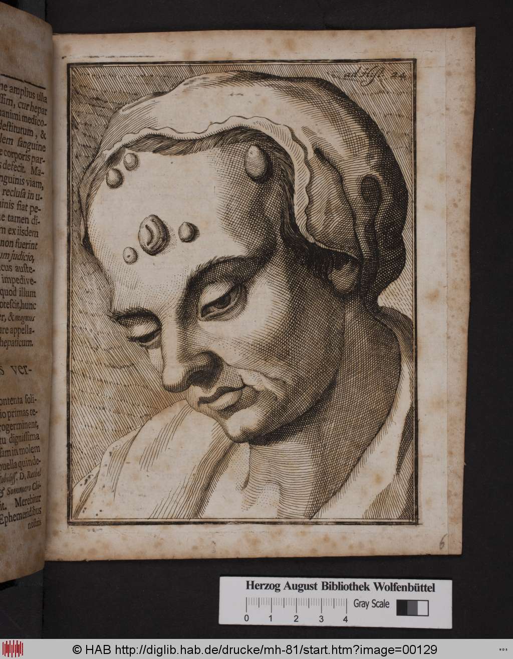 http://diglib.hab.de/drucke/mh-81/00129.jpg