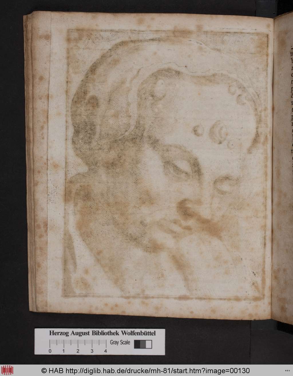 http://diglib.hab.de/drucke/mh-81/00130.jpg
