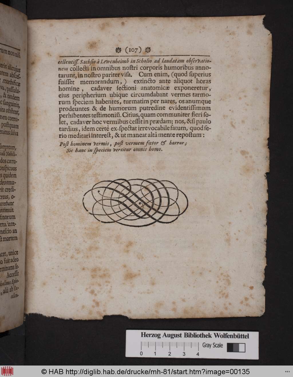 http://diglib.hab.de/drucke/mh-81/00135.jpg