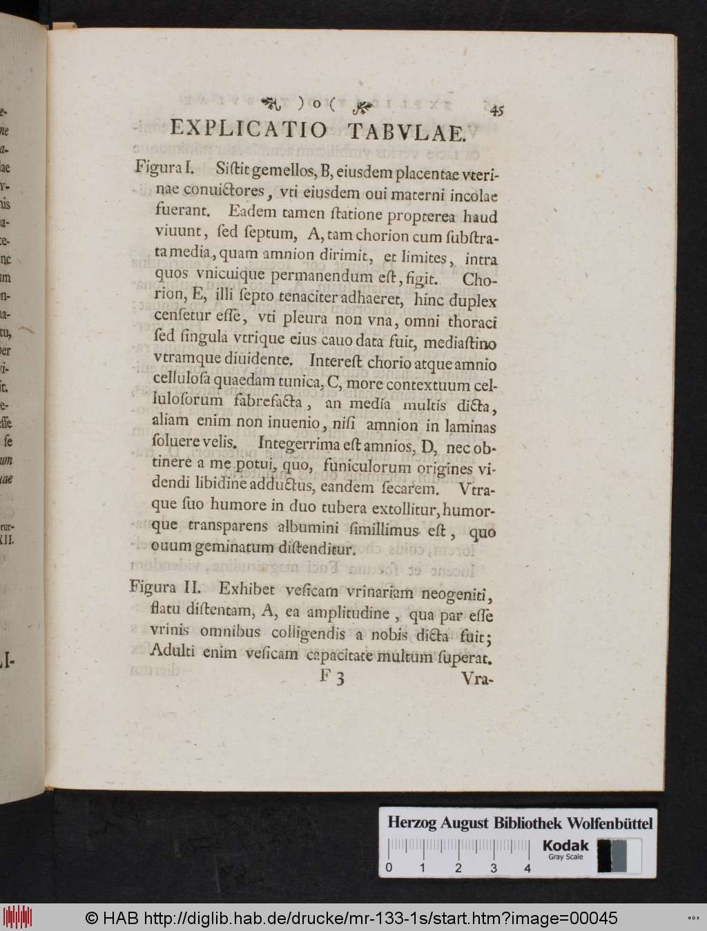 http://diglib.hab.de/drucke/mr-133-1s/00045.jpg