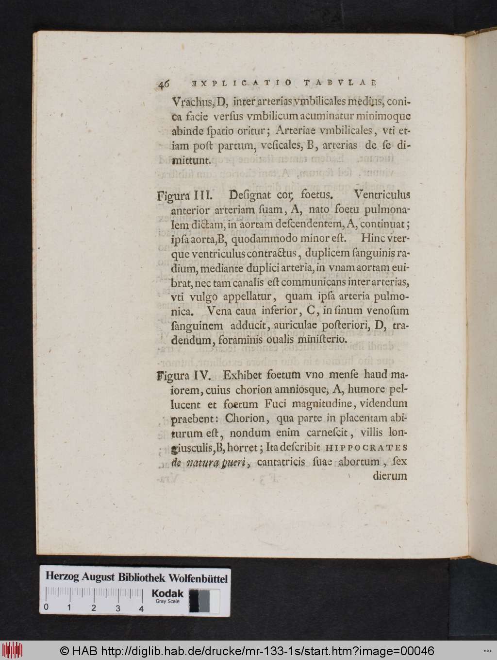 http://diglib.hab.de/drucke/mr-133-1s/00046.jpg