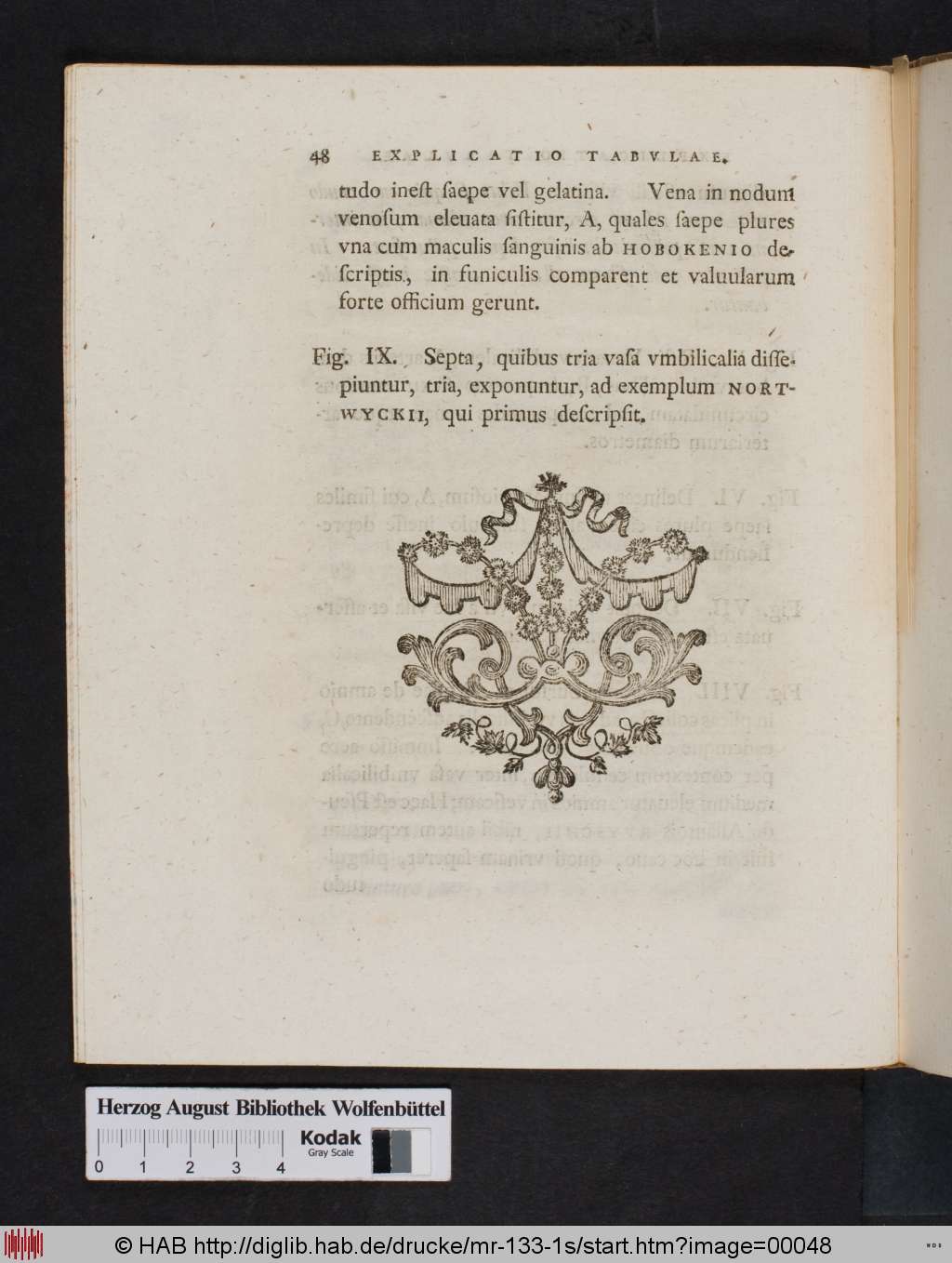 http://diglib.hab.de/drucke/mr-133-1s/00048.jpg