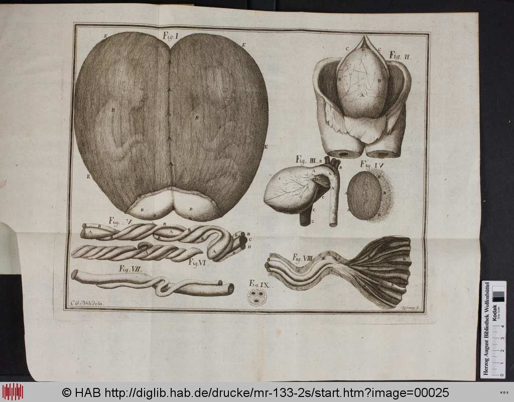 http://diglib.hab.de/drucke/mr-133-2s/00025.jpg