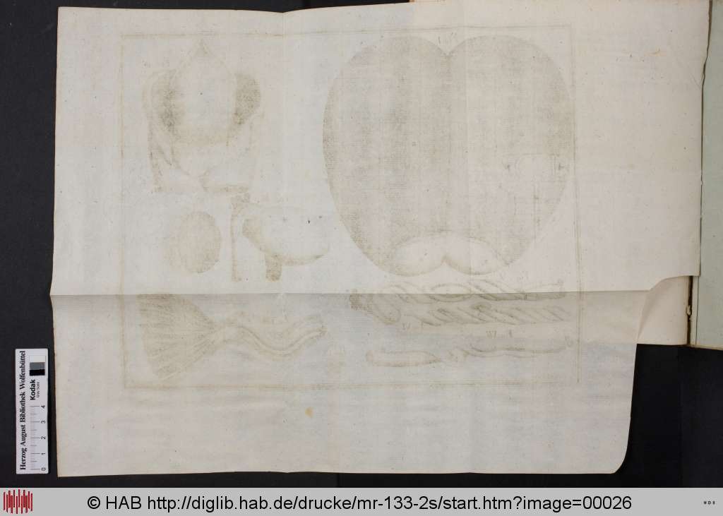 http://diglib.hab.de/drucke/mr-133-2s/00026.jpg