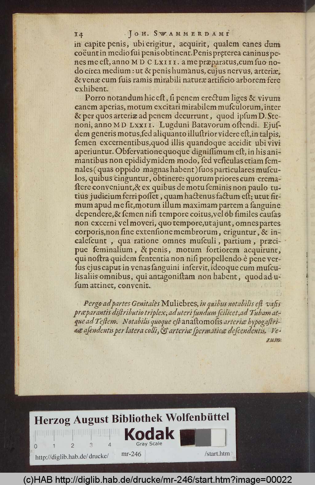http://diglib.hab.de/drucke/mr-246/00022.jpg