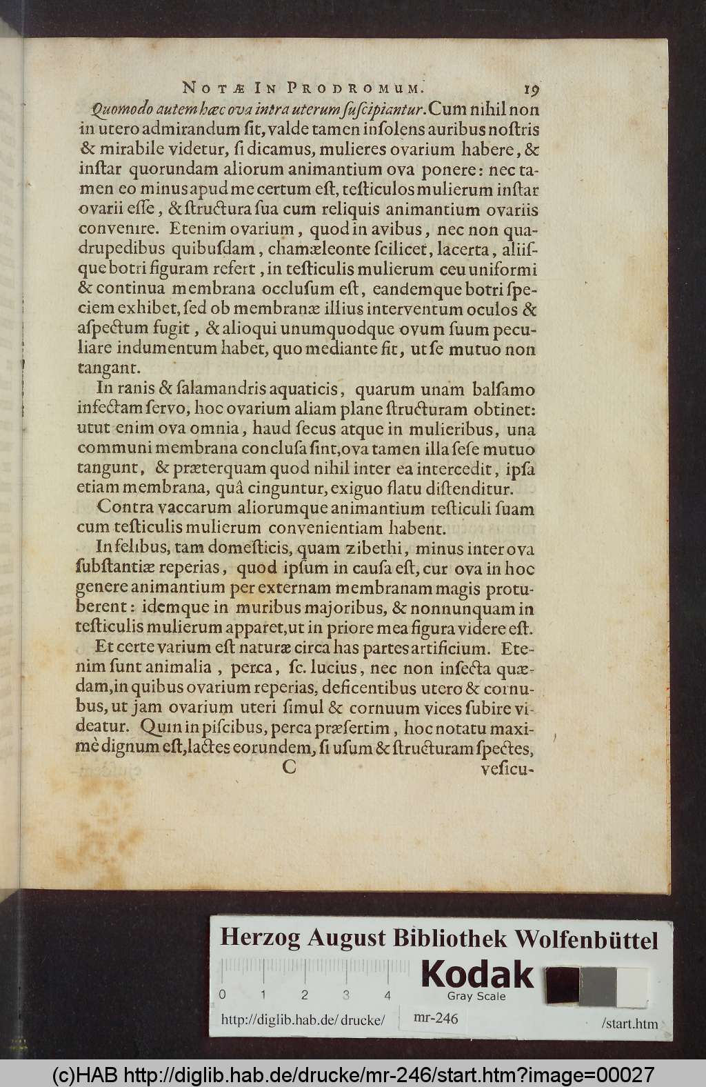 http://diglib.hab.de/drucke/mr-246/00027.jpg