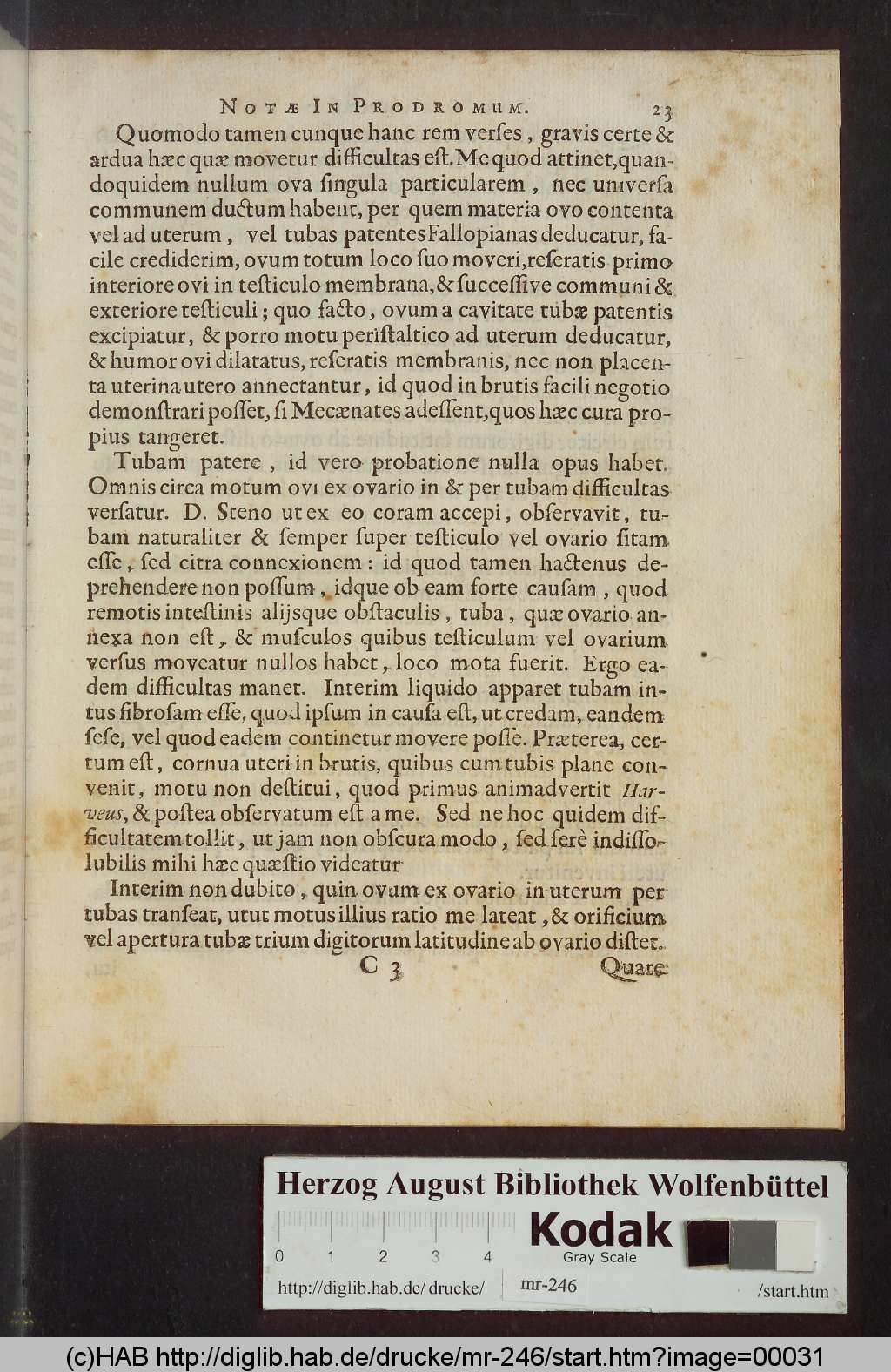 http://diglib.hab.de/drucke/mr-246/00031.jpg