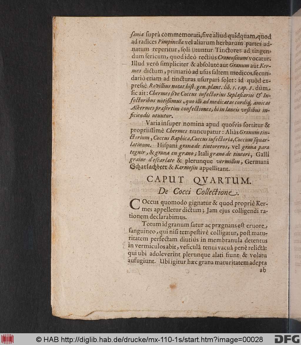 http://diglib.hab.de/drucke/mx-110-1s/00028.jpg