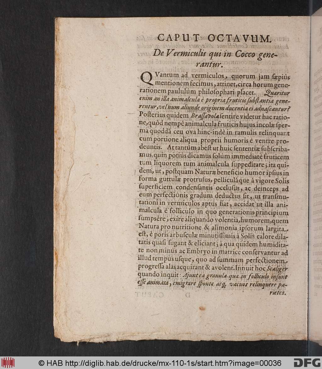 http://diglib.hab.de/drucke/mx-110-1s/00036.jpg