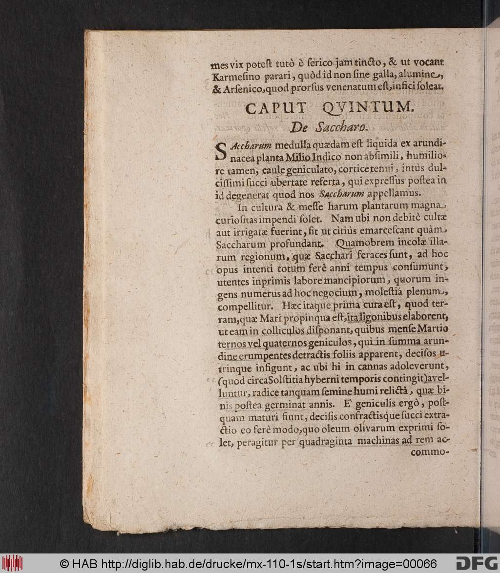 http://diglib.hab.de/drucke/mx-110-1s/00066.jpg