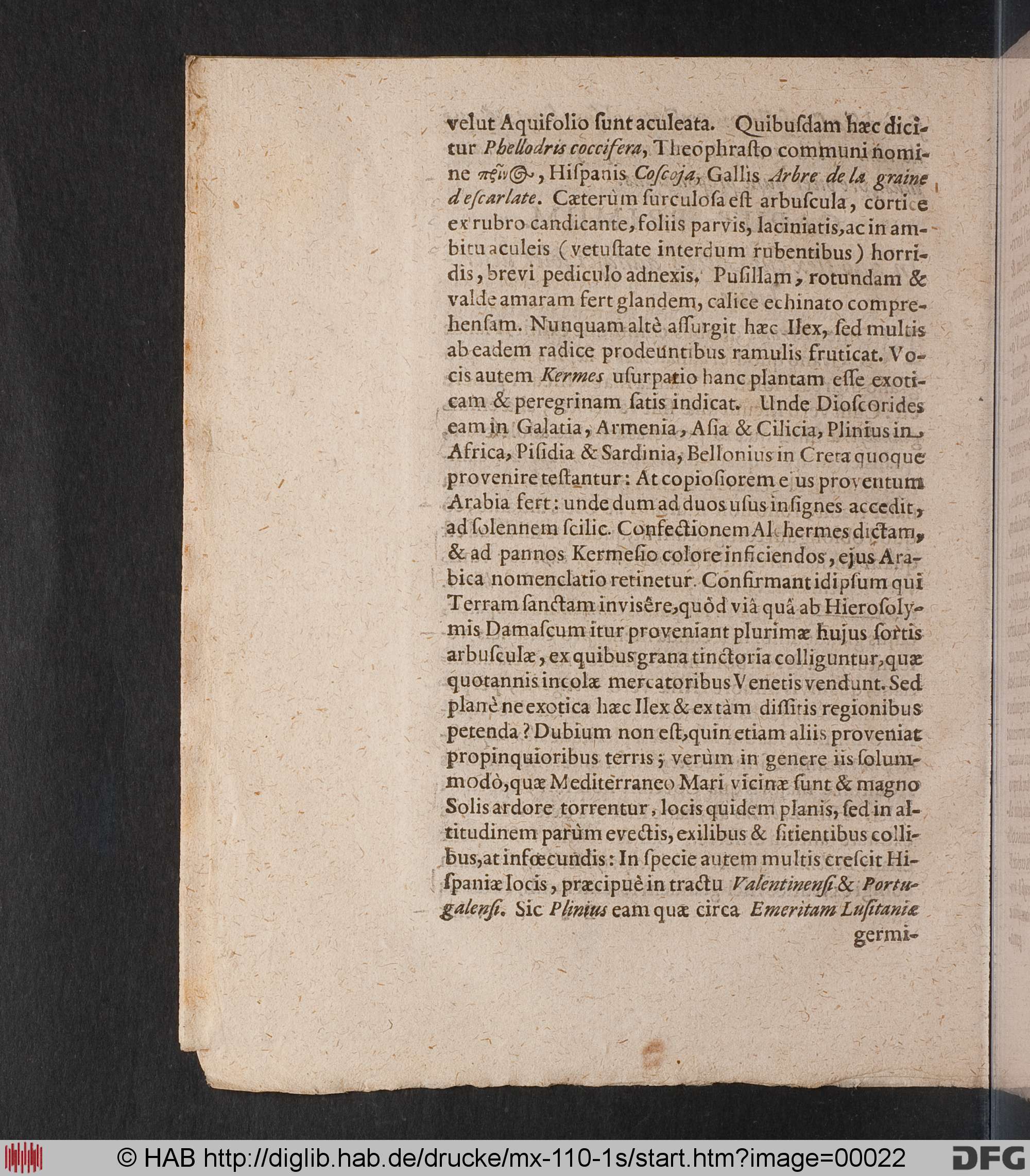 http://diglib.hab.de/drucke/mx-110-1s/max/00022.jpg