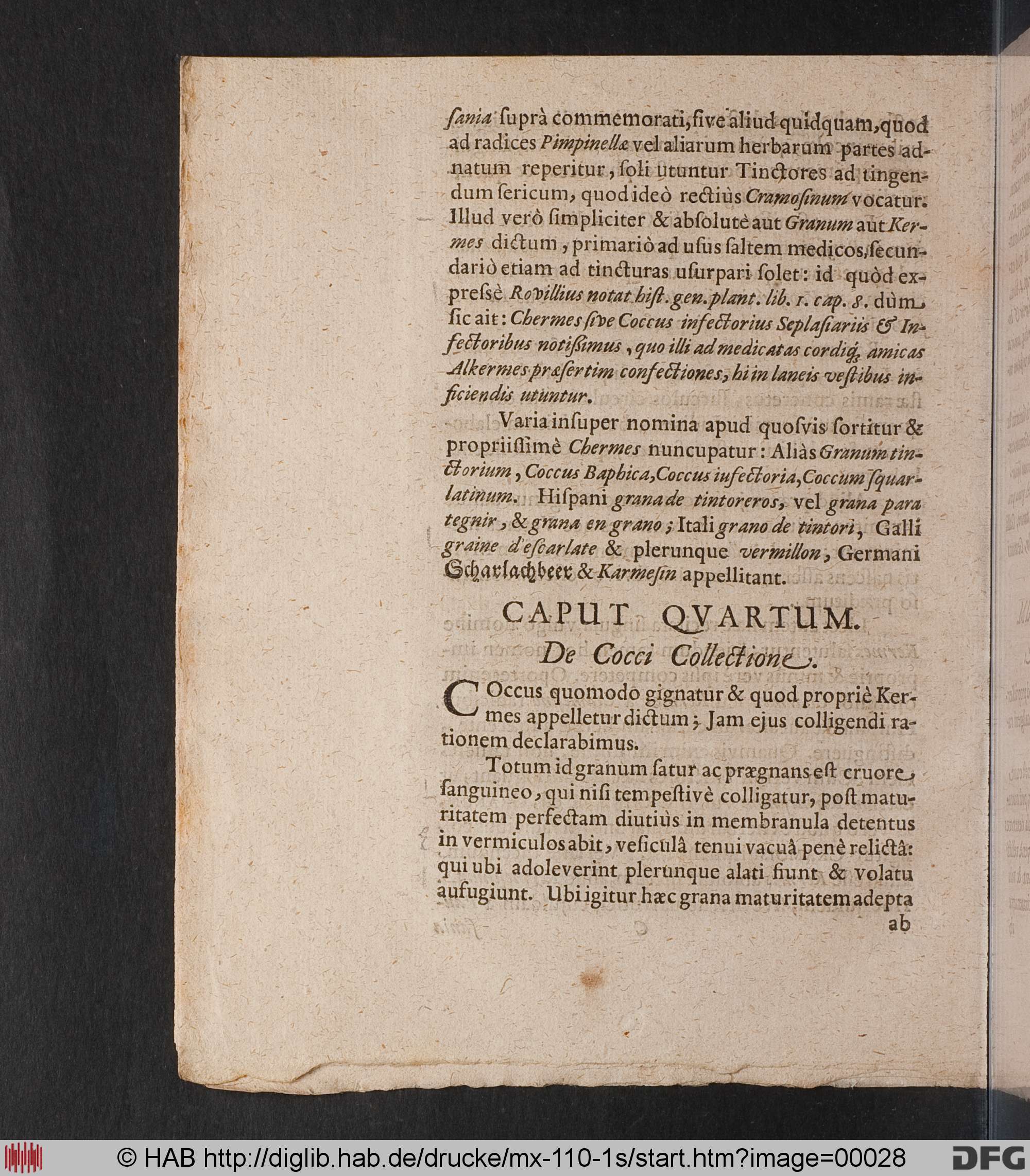 http://diglib.hab.de/drucke/mx-110-1s/max/00028.jpg