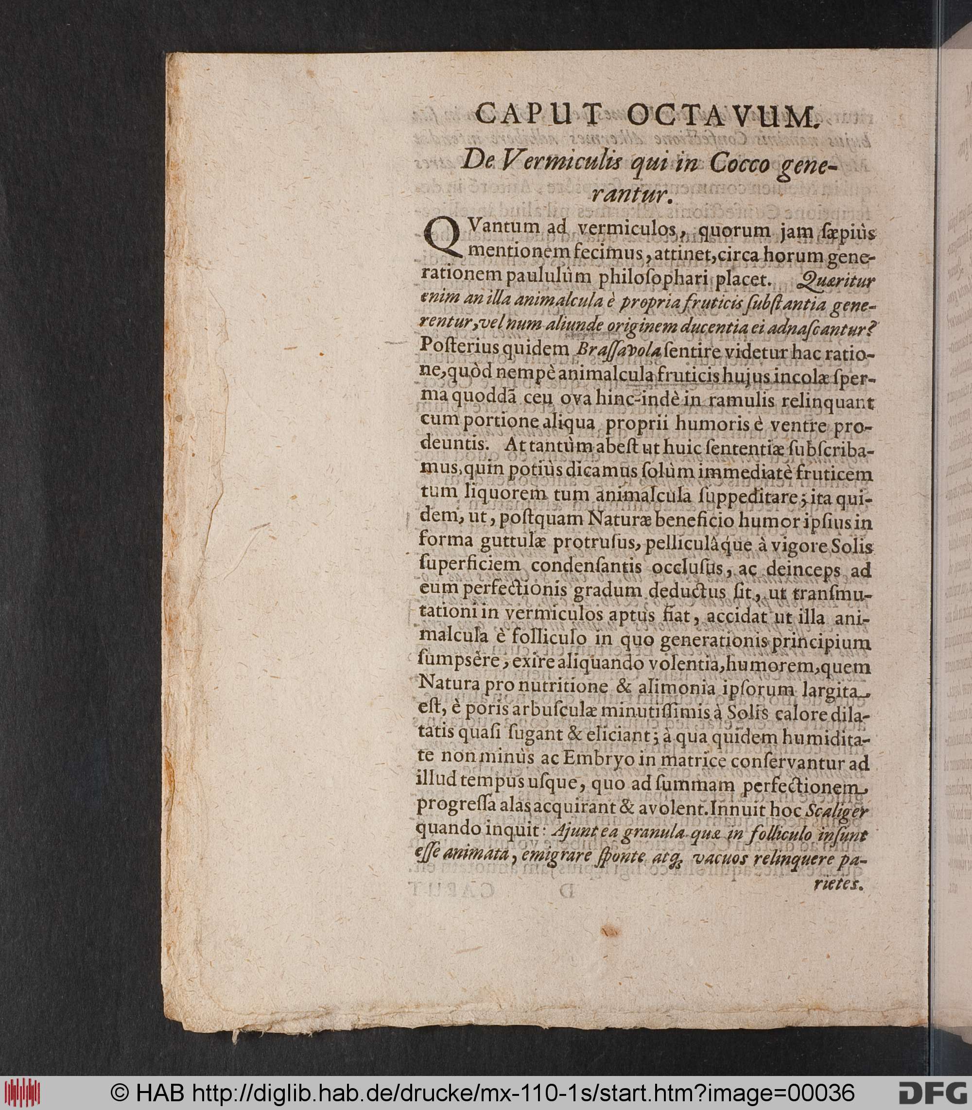 http://diglib.hab.de/drucke/mx-110-1s/max/00036.jpg