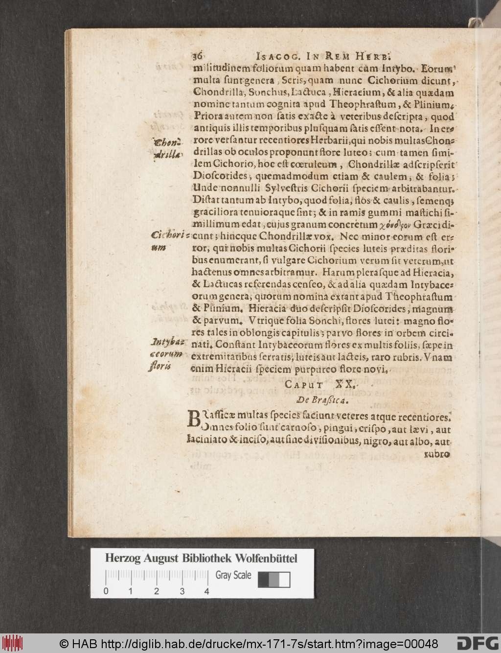 http://diglib.hab.de/drucke/mx-171-7s/00048.jpg