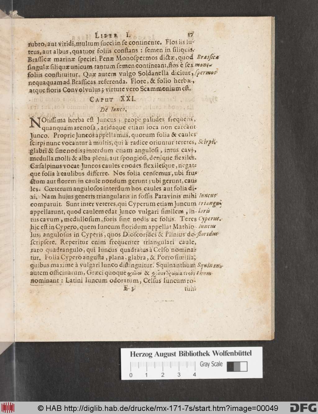 http://diglib.hab.de/drucke/mx-171-7s/00049.jpg