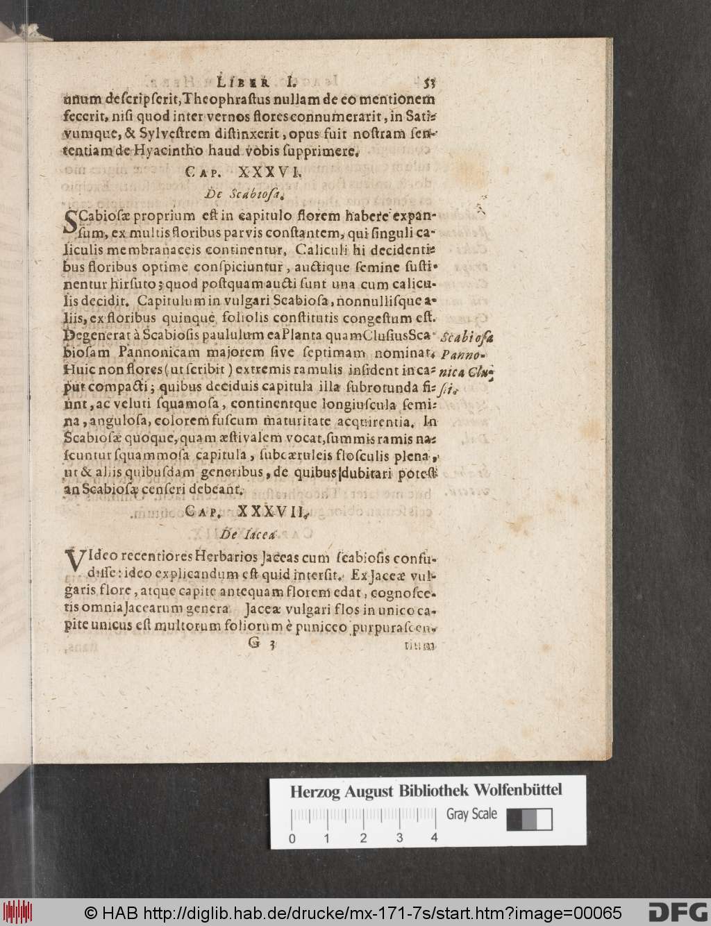 http://diglib.hab.de/drucke/mx-171-7s/00065.jpg