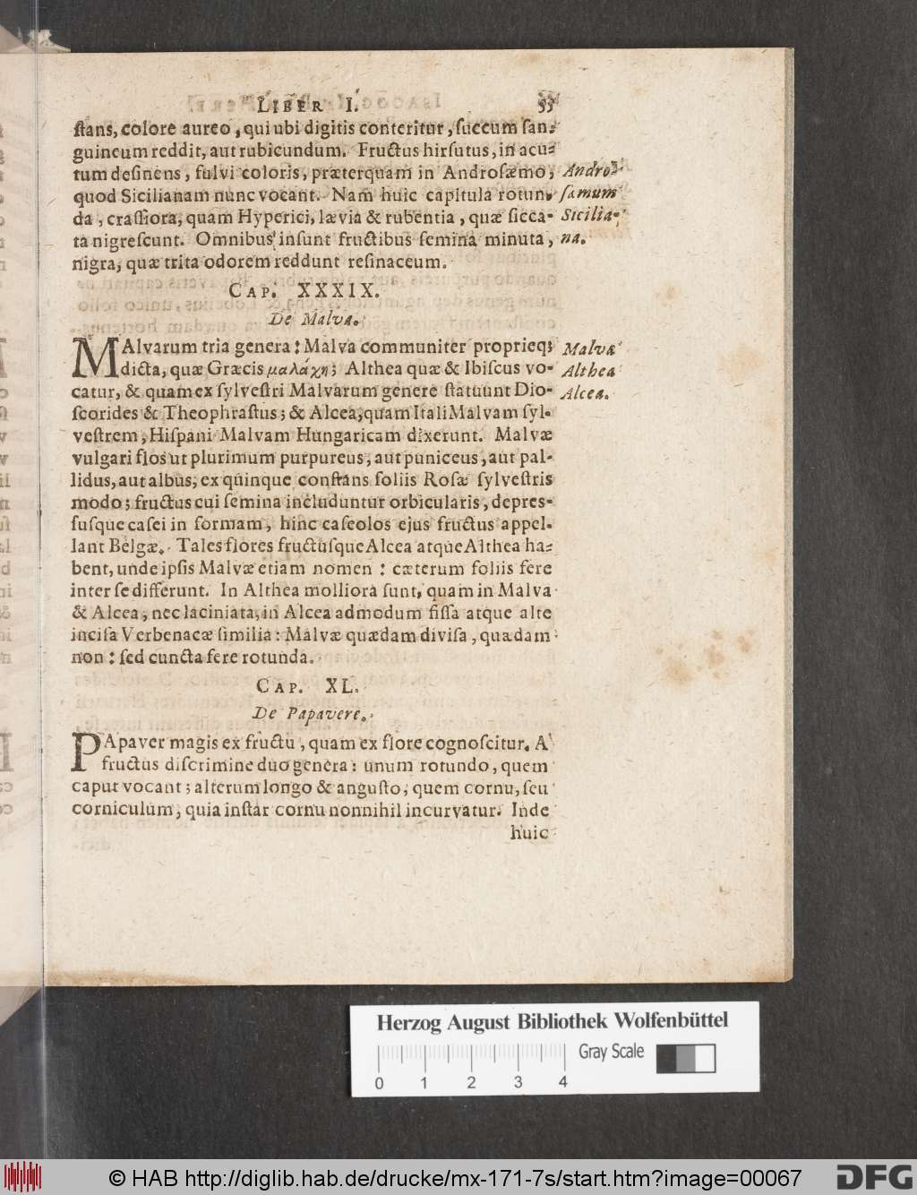 http://diglib.hab.de/drucke/mx-171-7s/00067.jpg