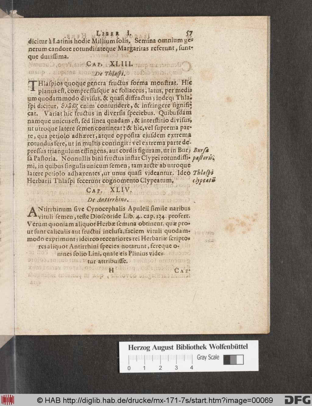 http://diglib.hab.de/drucke/mx-171-7s/00069.jpg