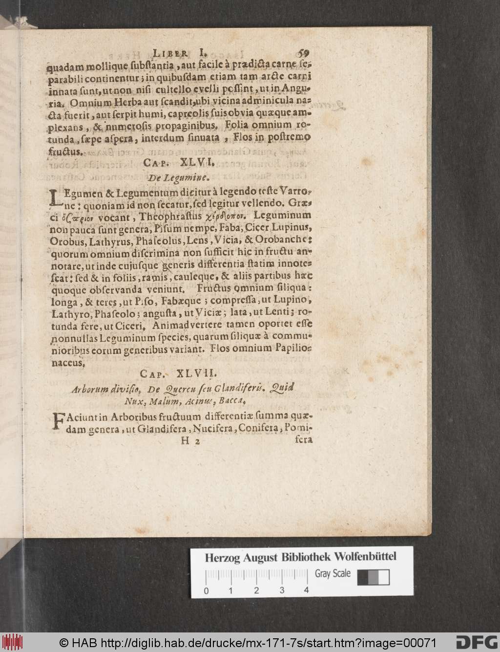 http://diglib.hab.de/drucke/mx-171-7s/00071.jpg