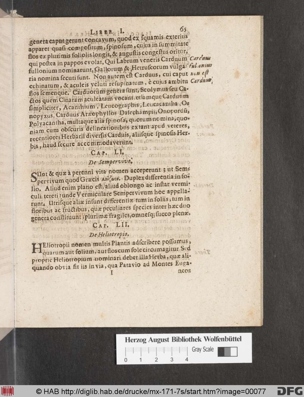 http://diglib.hab.de/drucke/mx-171-7s/00077.jpg