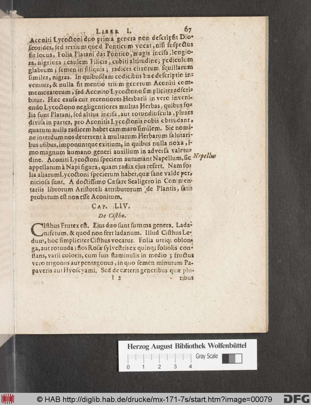 http://diglib.hab.de/drucke/mx-171-7s/00079.jpg