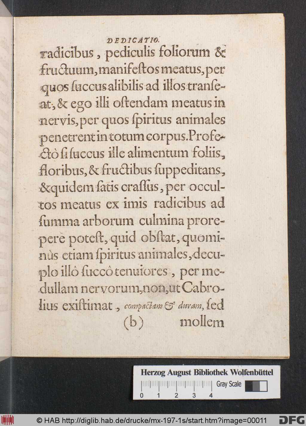 http://diglib.hab.de/drucke/mx-197-1s/00011.jpg