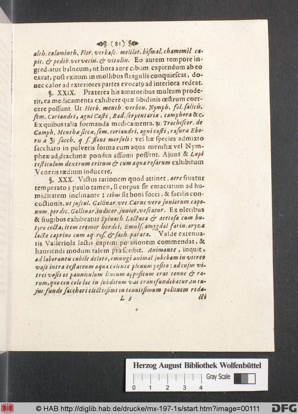 http://diglib.hab.de/drucke/mx-197-1s/00111.jpg