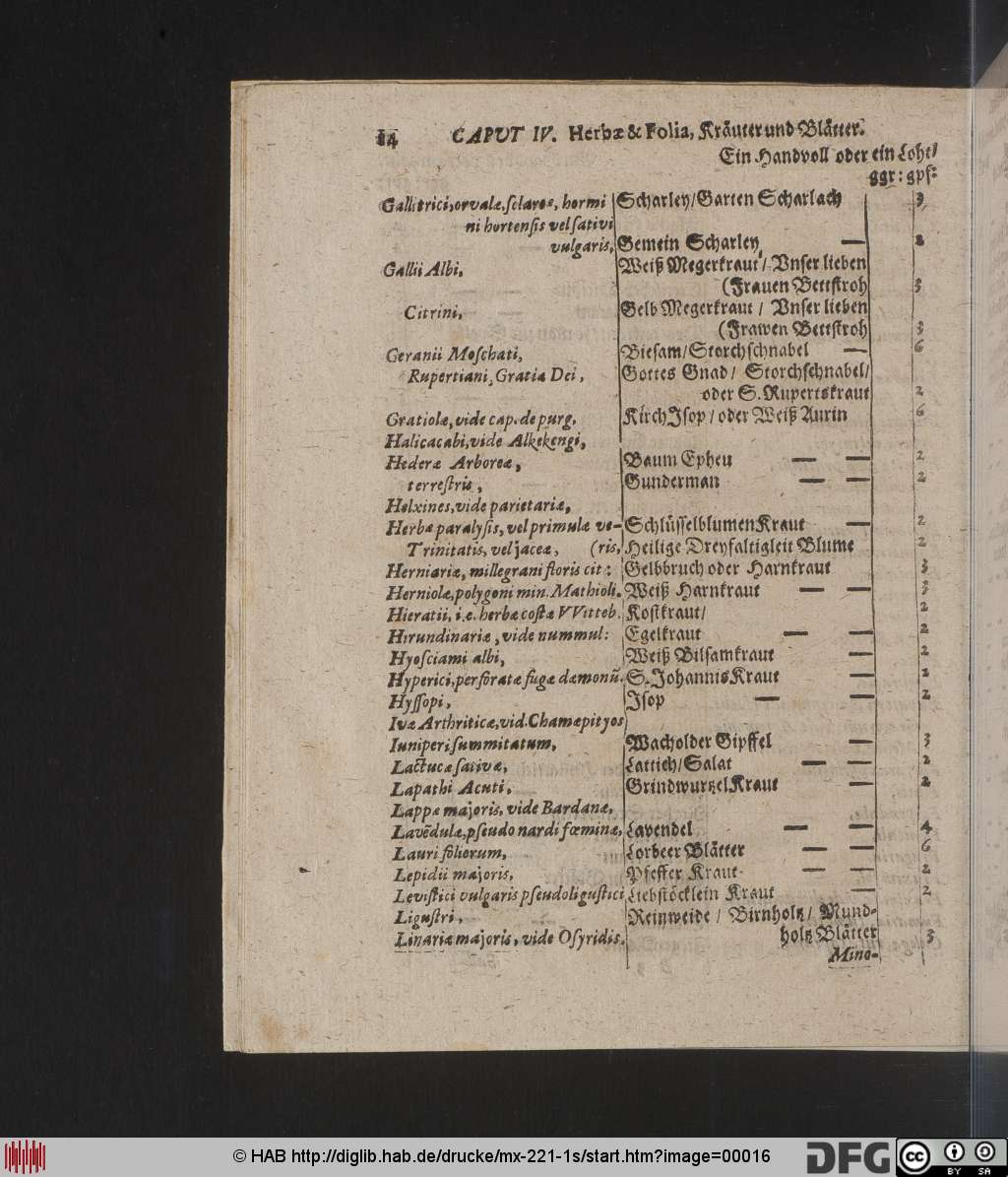 http://diglib.hab.de/drucke/mx-221-1s/00016.jpg
