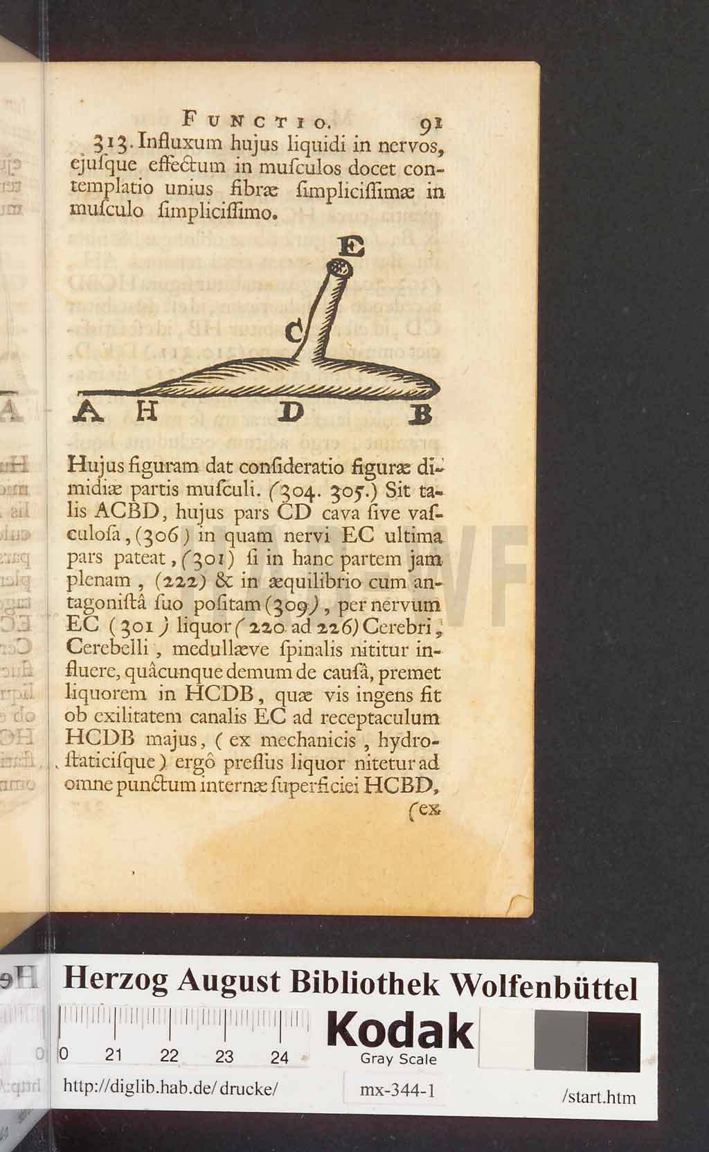 http://diglib.hab.de/drucke/mx-344-1/00095.jpg