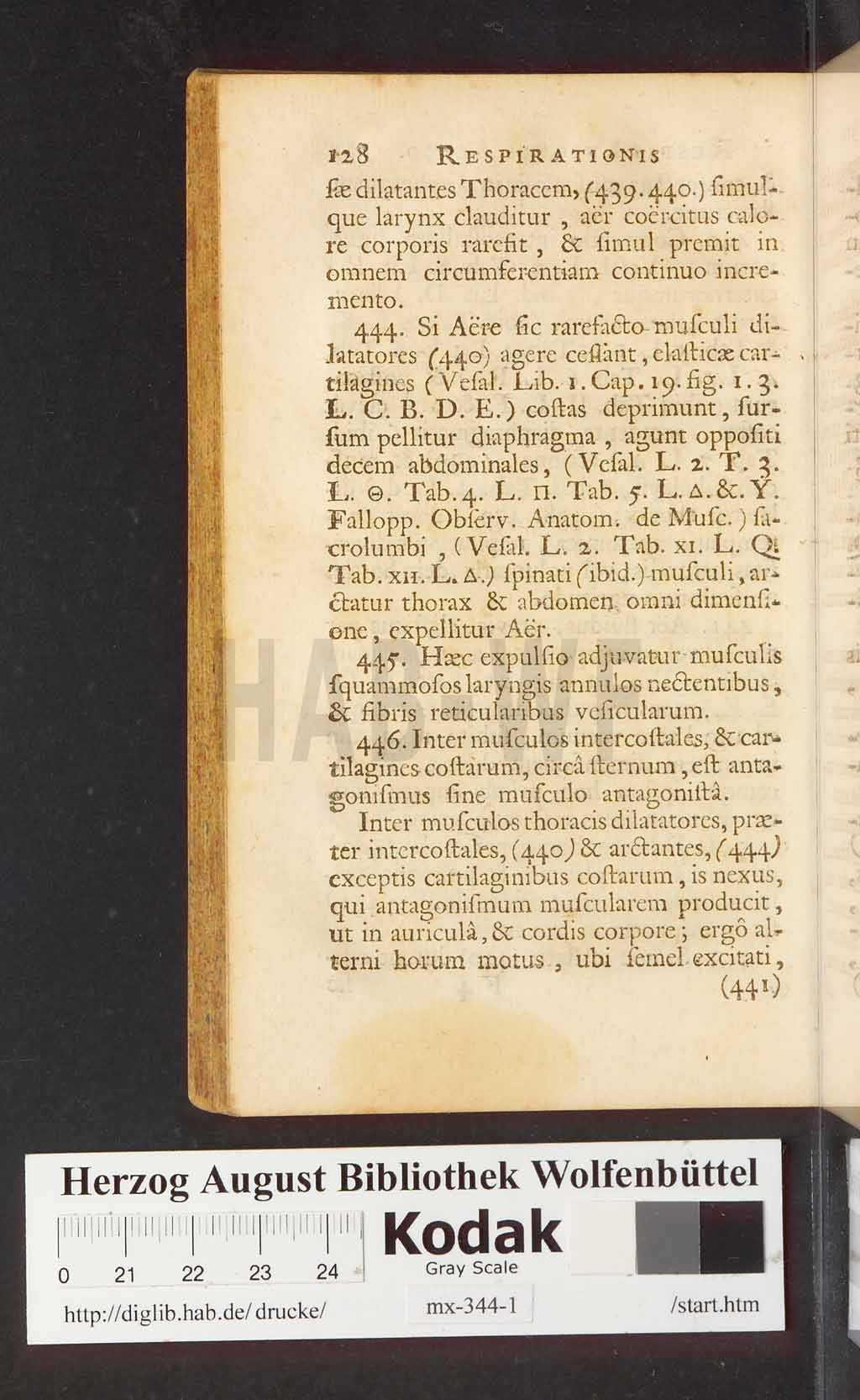 http://diglib.hab.de/drucke/mx-344-1/00132.jpg