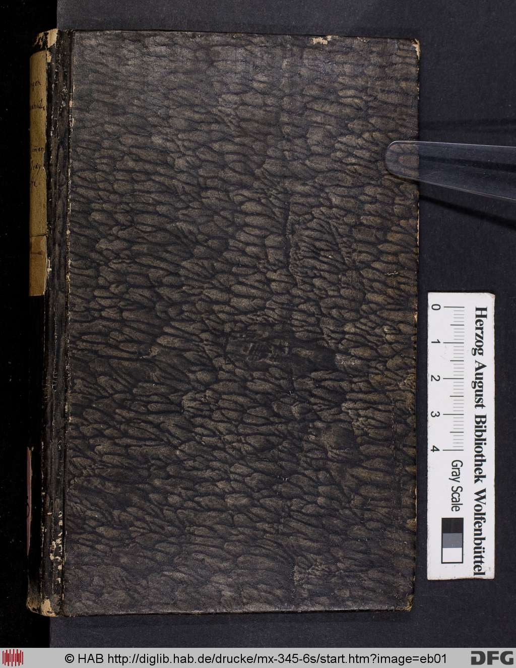 http://diglib.hab.de/drucke/mx-345-6s/eb01.jpg