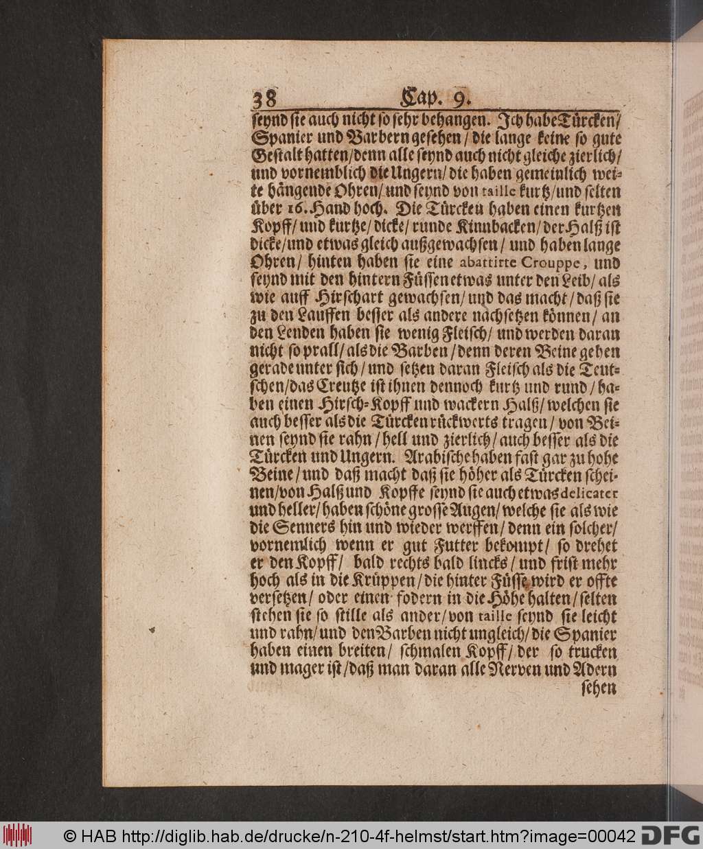 http://diglib.hab.de/drucke/n-210-4f-helmst/00042.jpg