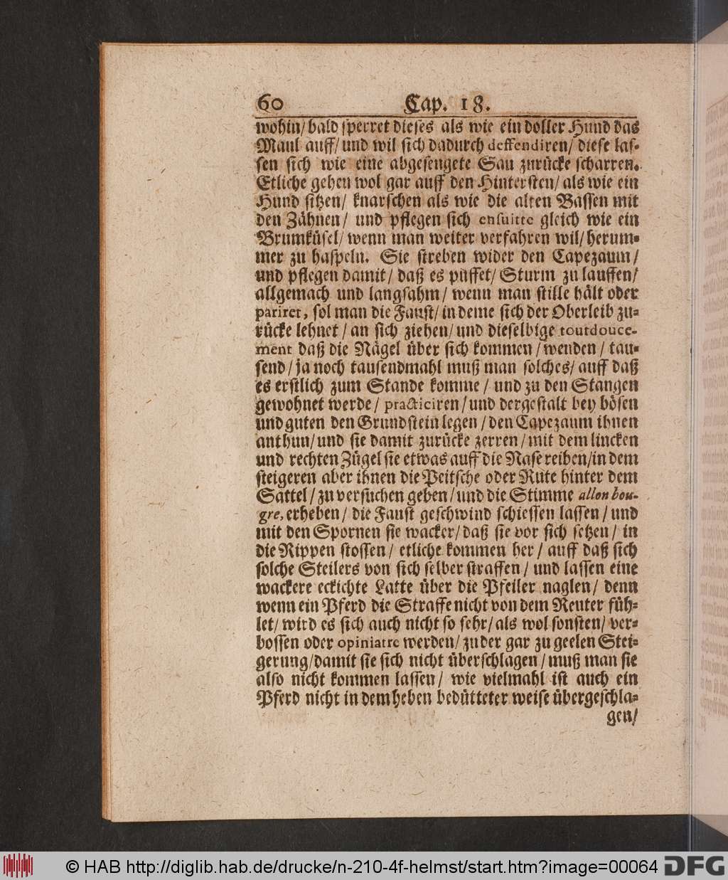 http://diglib.hab.de/drucke/n-210-4f-helmst/00064.jpg