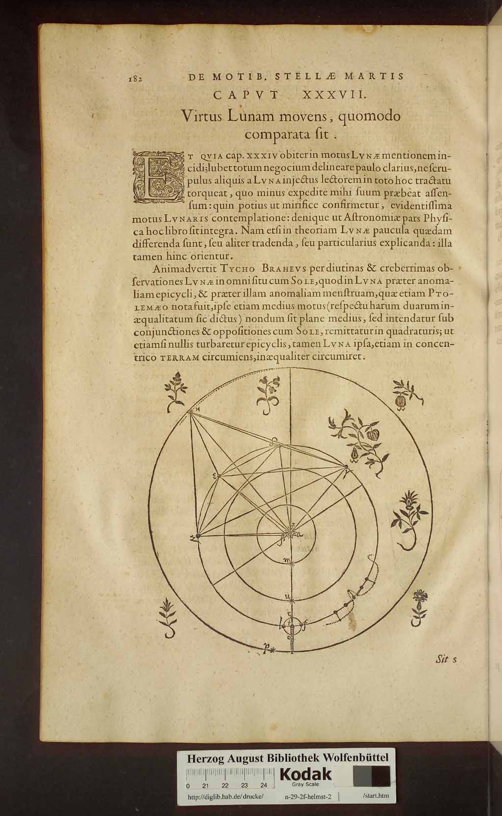 http://diglib.hab.de/drucke/n-29-2f-helmst-2/00224.jpg