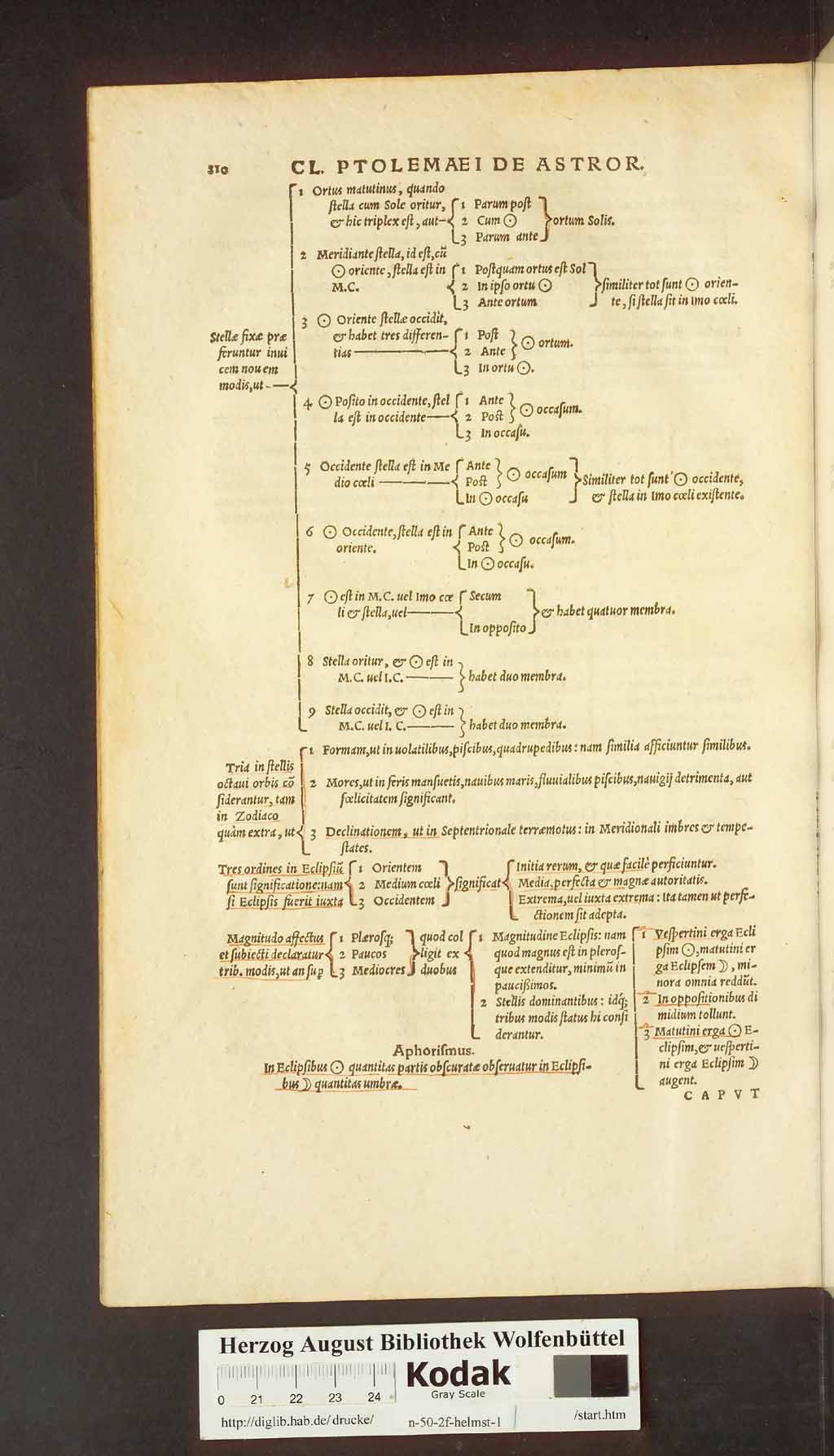 http://diglib.hab.de/drucke/n-50-2f-helmst-1/00738.jpg