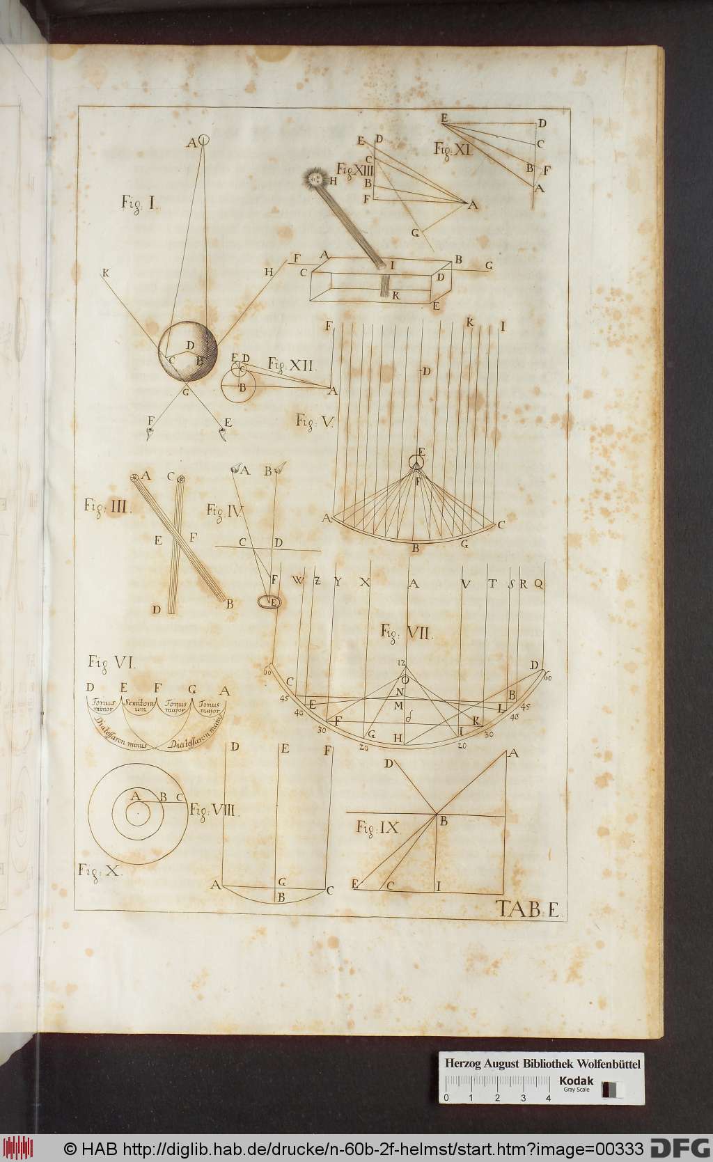 http://diglib.hab.de/drucke/n-60b-2f-helmst/00333.jpg