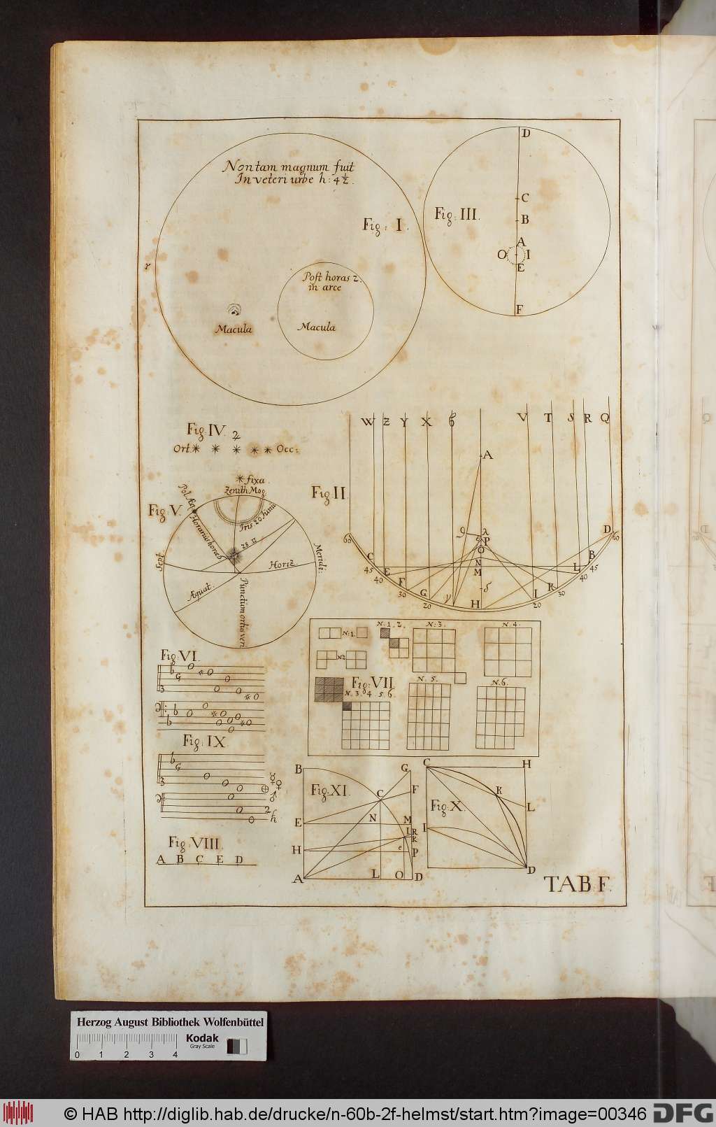 http://diglib.hab.de/drucke/n-60b-2f-helmst/00346.jpg