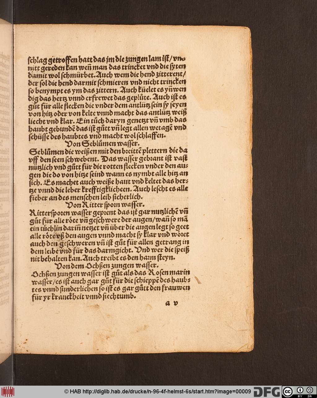 http://diglib.hab.de/drucke/n-96-4f-helmst-6s/00009.jpg