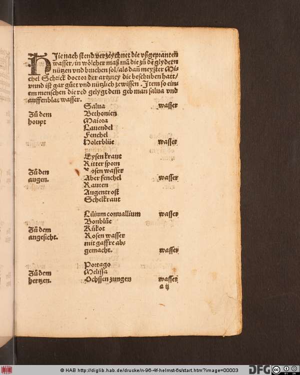http://diglib.hab.de/drucke/n-96-4f-helmst-6s/min/00003.jpg