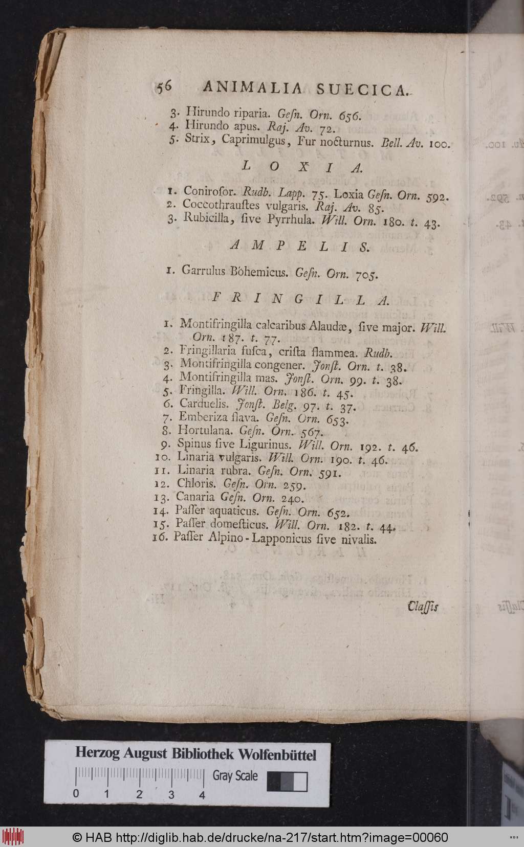 http://diglib.hab.de/drucke/na-217/00060.jpg