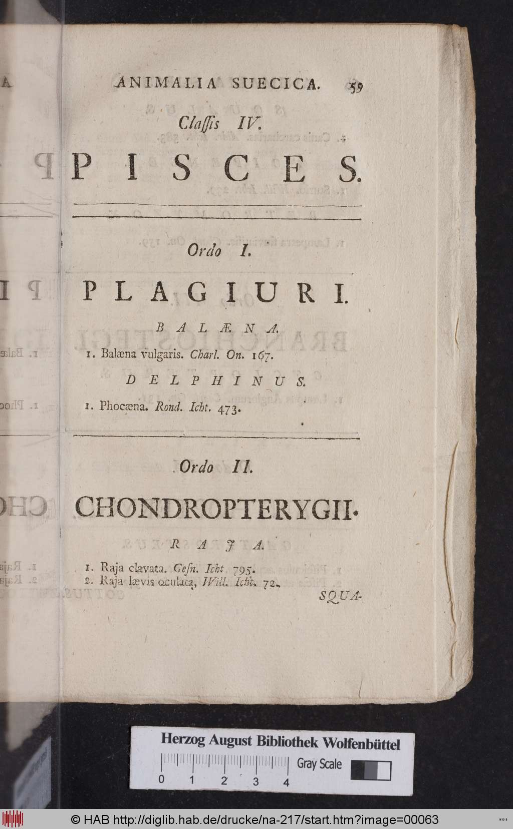 http://diglib.hab.de/drucke/na-217/00063.jpg