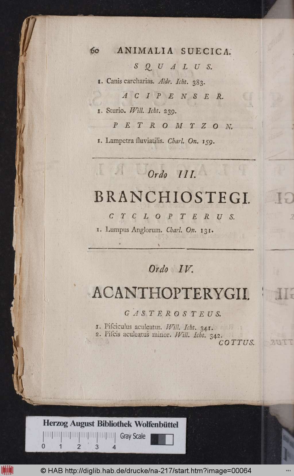 http://diglib.hab.de/drucke/na-217/00064.jpg