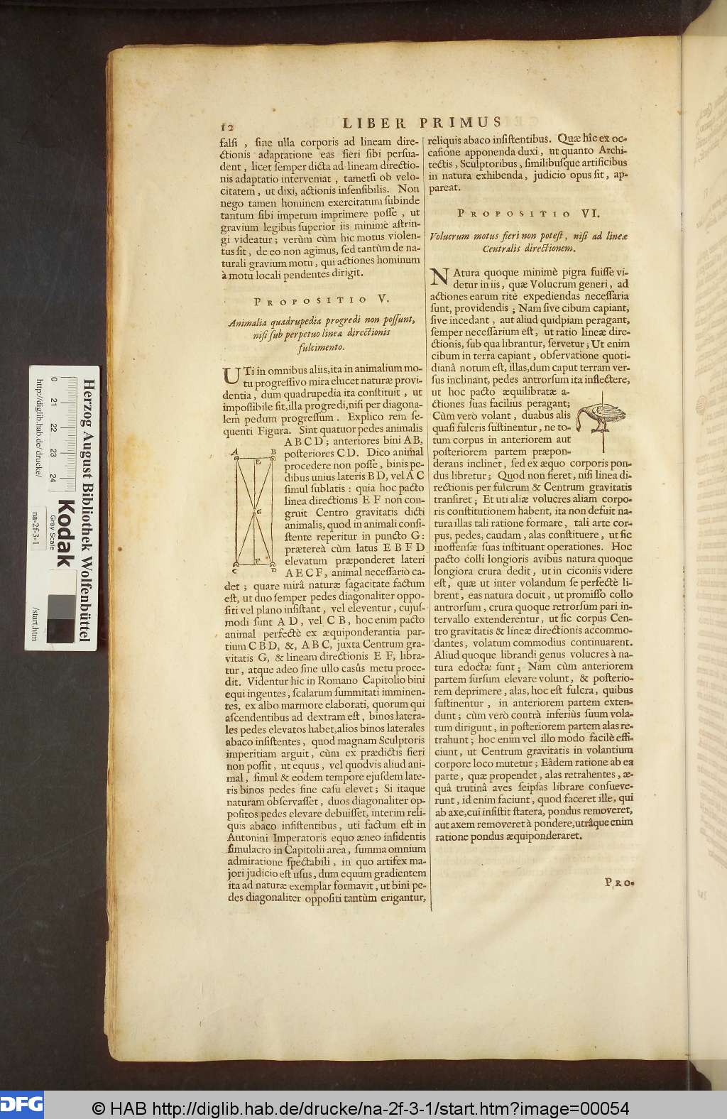 http://diglib.hab.de/drucke/na-2f-3-1/00054.jpg
