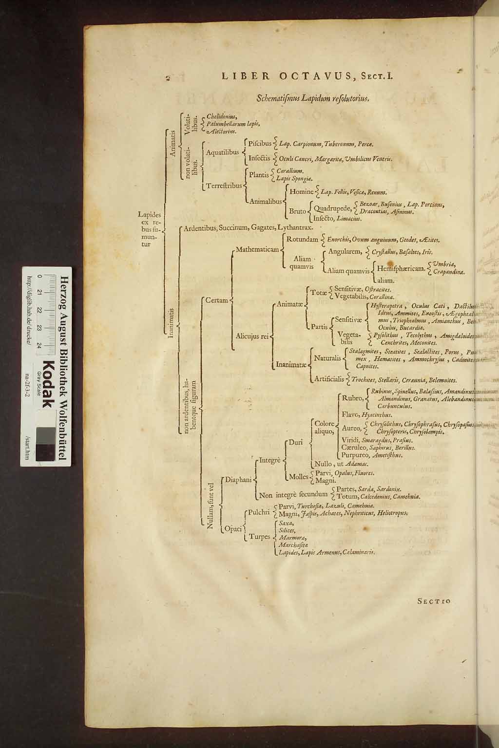 http://diglib.hab.de/drucke/na-2f-3-2/00014.jpg