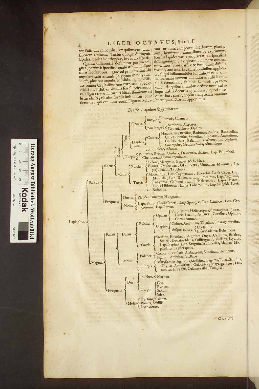 http://diglib.hab.de/drucke/na-2f-3-2/00016.jpg