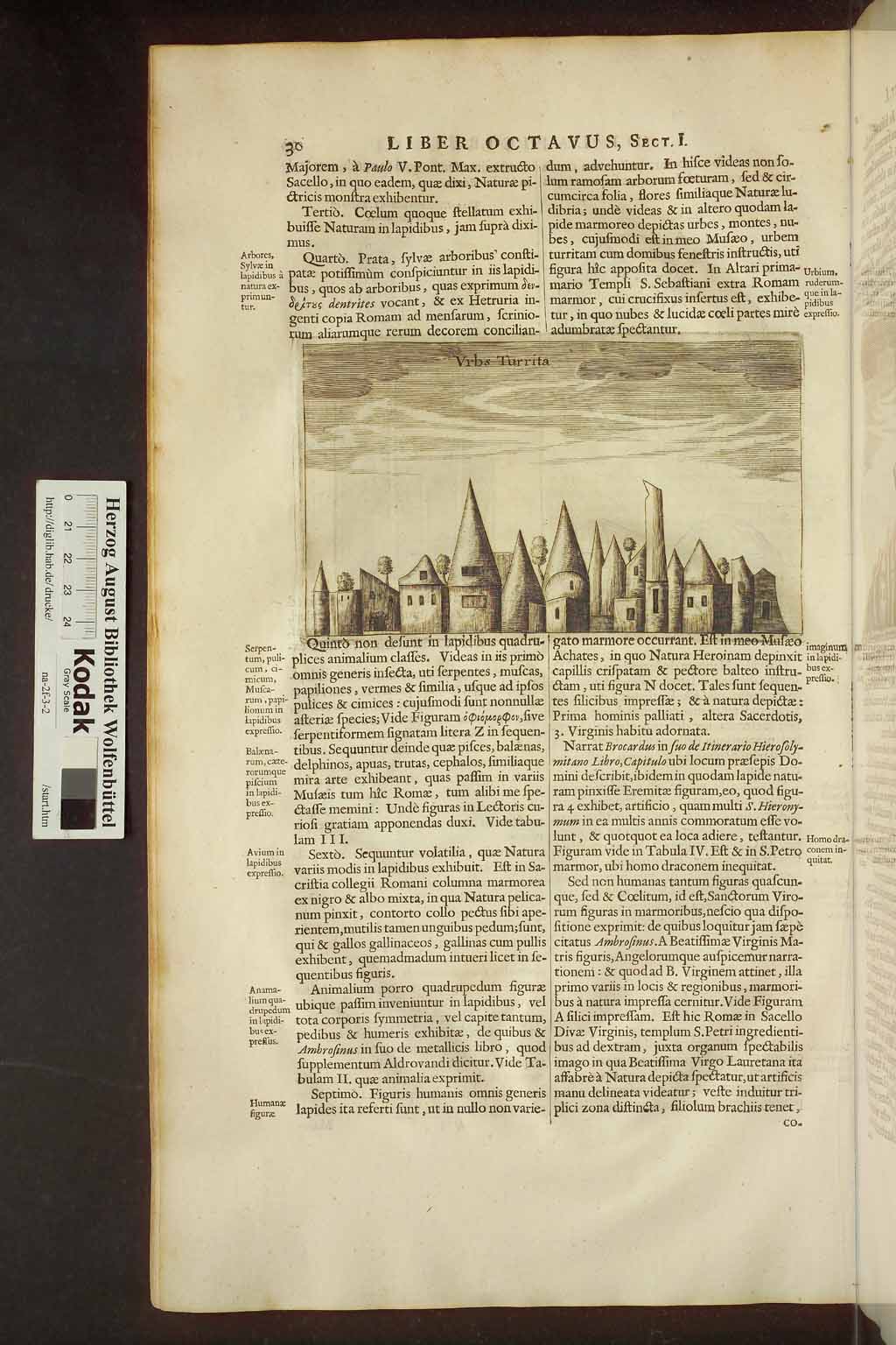 http://diglib.hab.de/drucke/na-2f-3-2/00042.jpg