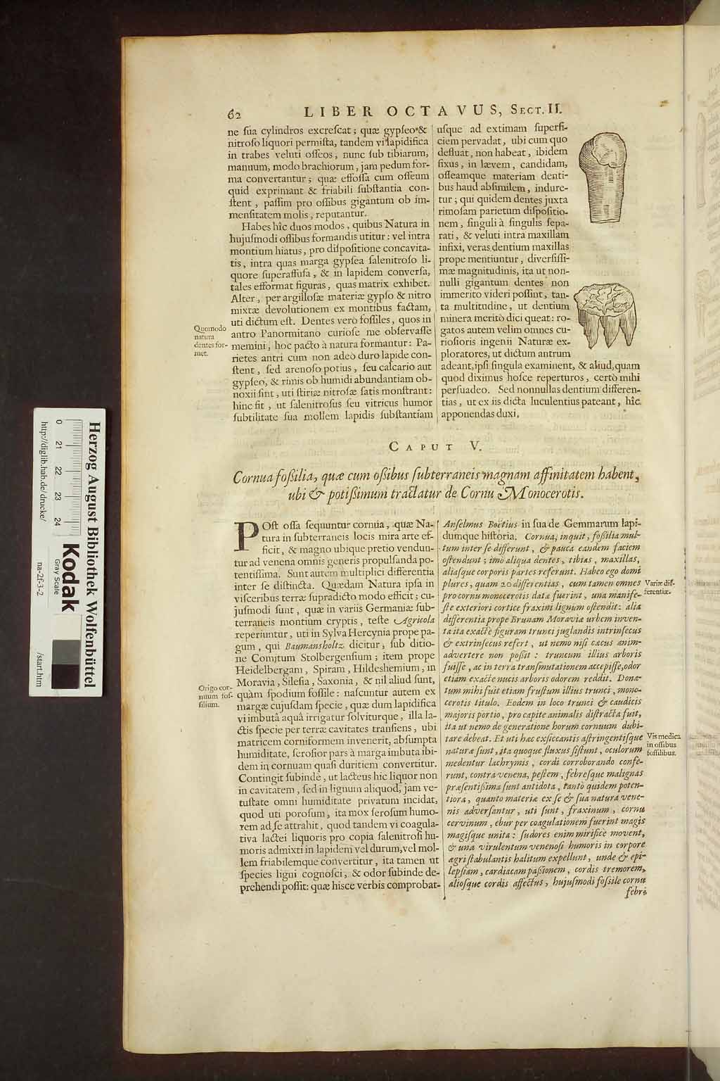 http://diglib.hab.de/drucke/na-2f-3-2/00076.jpg