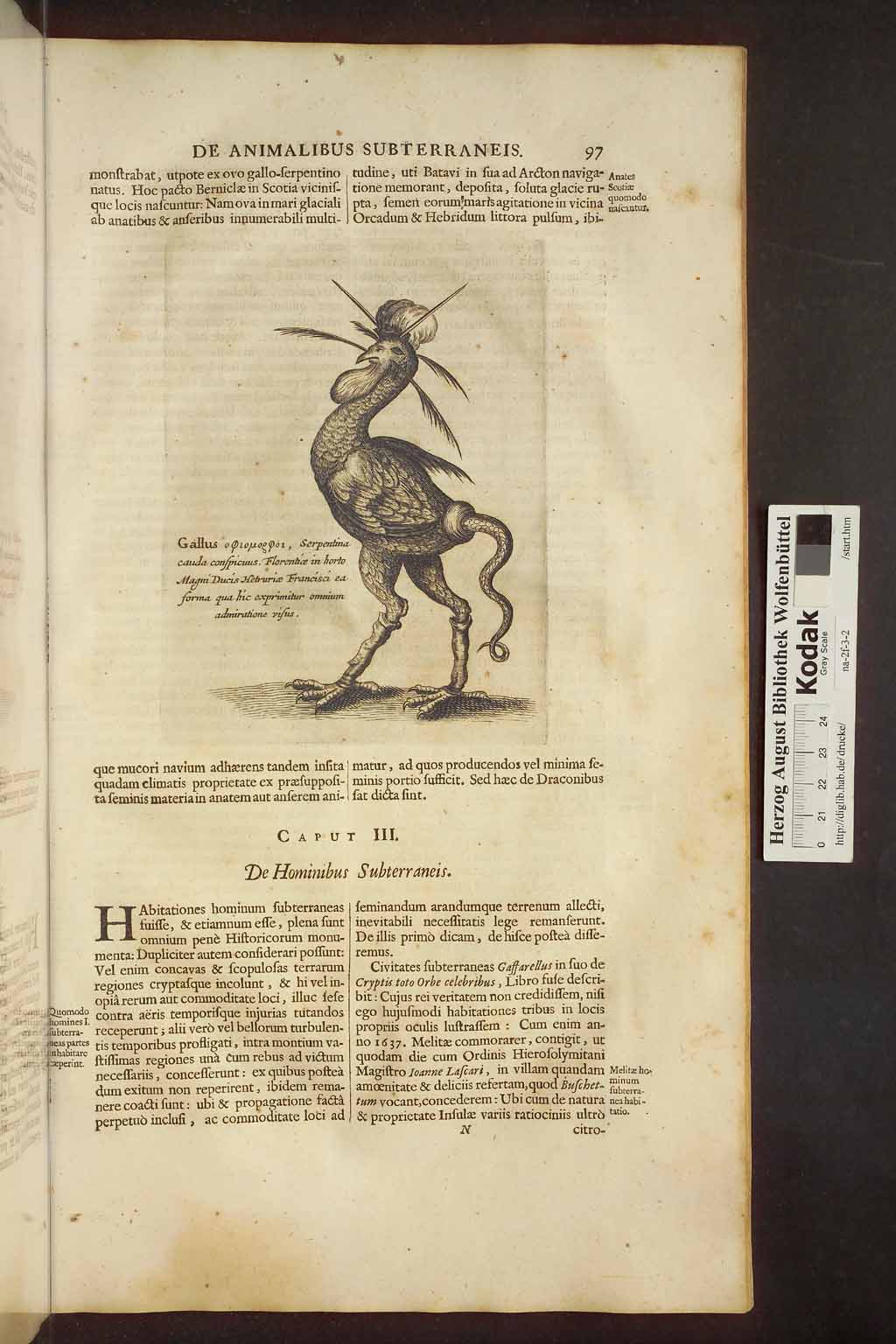 http://diglib.hab.de/drucke/na-2f-3-2/00111.jpg